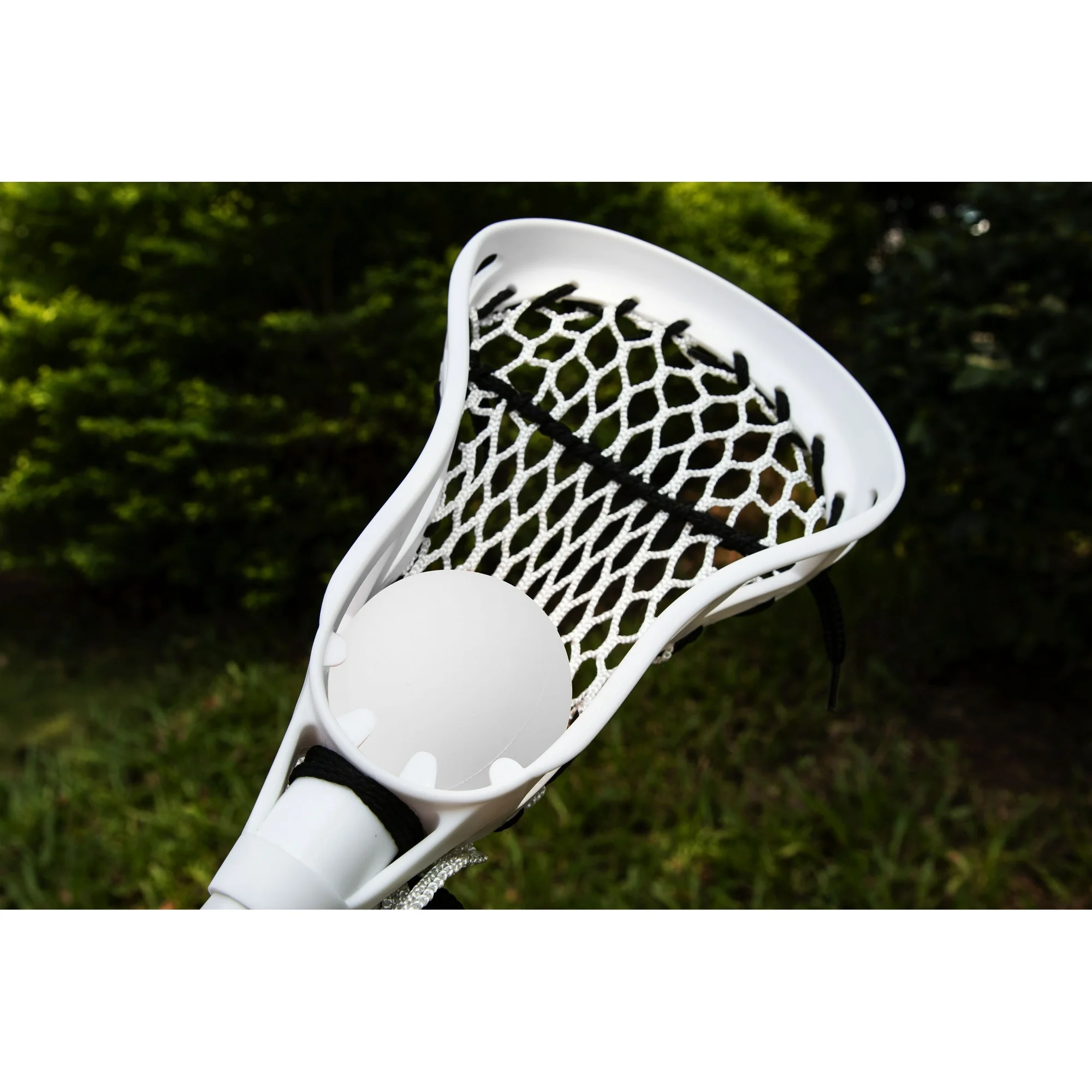 a8731579-1e82-4ce5-b1a5-04c6e4839eac.c2c6b047fe406d799ccd81070fac3dce